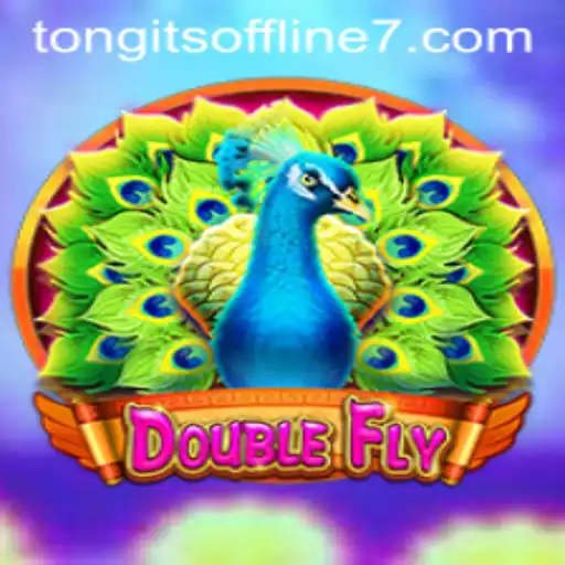 DoubleFly: The Game-Changing Experience of Tongits Offline